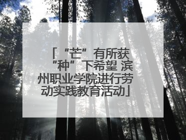“芒”有所获 “种”下希望 滨州职业学院进行劳动实践教育活动