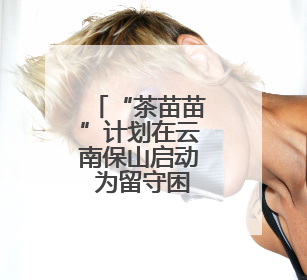 “茶苗苗”计划在云南保山启动 为留守困境儿童三餐“加肉”