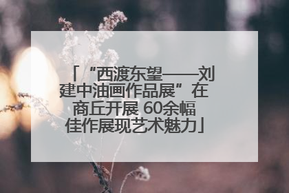 “西渡东望——刘建中油画作品展”在商丘开展 60余幅佳作展现艺术魅力