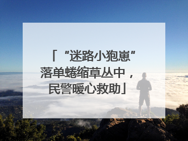 “迷路小狍崽”落单蜷缩草丛中，民警暖心救助