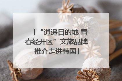 “逍遥目的地 青春经开区”文旅品牌推介走进韩国