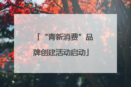 “青新消费”品牌创建活动启动