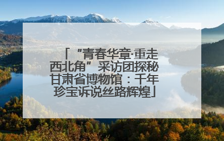 “青春华章·重走西北角”采访团探秘甘肃省博物馆：千年珍宝诉说丝路辉煌