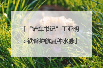“铲车书记”王亚明：铁臂护航夏种水脉