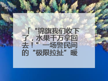 “锦旗我们收下了，水果千万拿回去！”一场警民间的“极限拉扯”暖了整个城