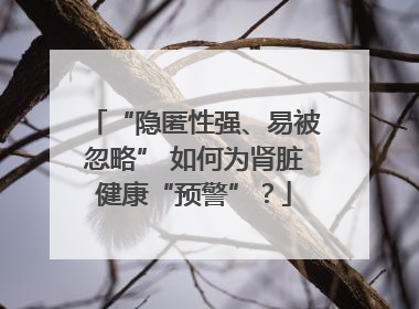 “隐匿性强、易被忽略” 如何为肾脏健康“预警”？