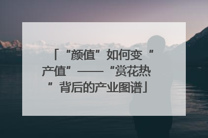 “颜值”如何变“产值”——“赏花热”背后的产业图谱
