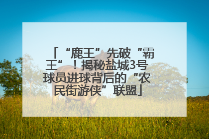 “鹿王”先破“霸王”！揭秘盐城3号球员进球背后的“农民街游侠”联盟
