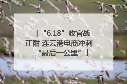 “6.18”收官战正酣 连云港电商冲刺“最后一公里”