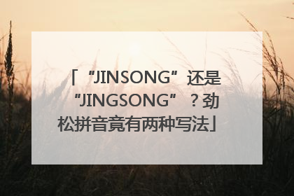 “JINSONG”还是“JINGSONG”？劲松拼音竟有两种写法
