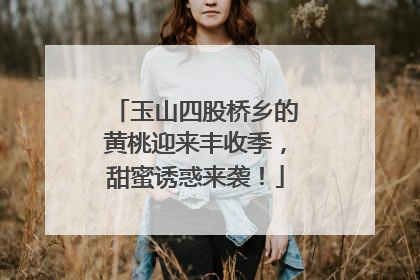 玉山四股桥乡的黄桃迎来丰收季，甜蜜诱惑来袭！
