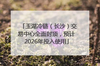 玉湖冷链（长沙）交易中心全面封顶，预计2026年投入使用