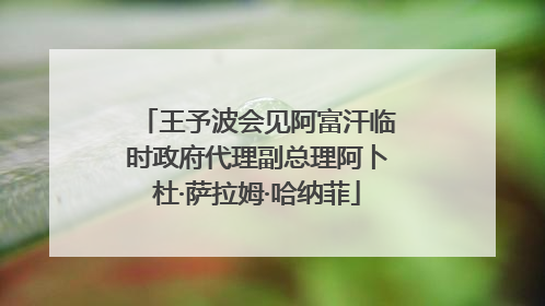 王予波会见阿富汗临时政府代理副总理阿卜杜·萨拉姆·哈纳菲