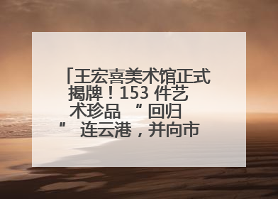 王宏喜美术馆正式揭牌！153 件艺术珍品 “ 回归 ” 连云港，并向市民免费开放