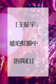 王征宇：琥珀虹膜中的我们