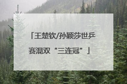王楚钦/孙颖莎世乒赛混双“三连冠”