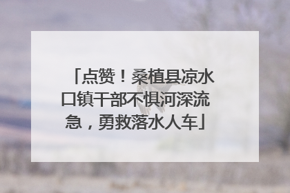 点赞！桑植县凉水口镇干部不惧河深流急，勇救落水人车