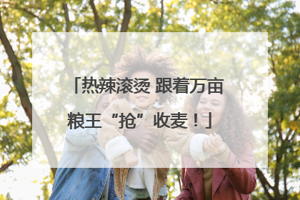 热辣滚烫 跟着万亩粮王“抢”收麦！