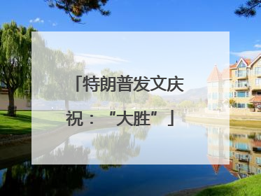 特朗普发文庆祝：“大胜”