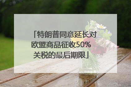 特朗普同意延长对欧盟商品征收50%关税的最后期限