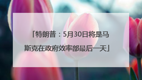特朗普：5月30日将是马斯克在政府效率部最后一天