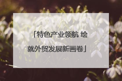 特色产业领航 绘就外贸发展新画卷