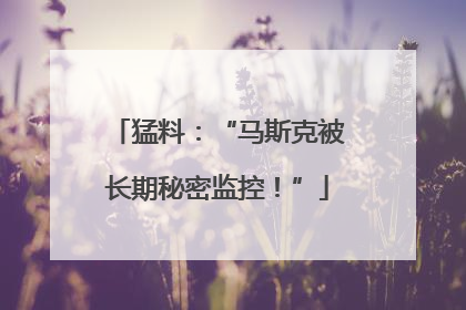 猛料：“马斯克被长期秘密监控！”