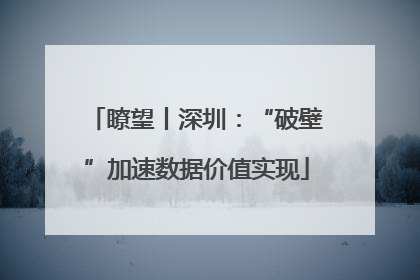 瞭望丨深圳：“破壁”加速数据价值实现