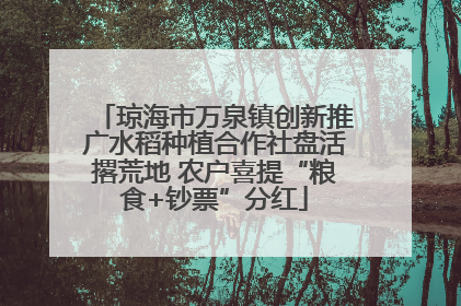 琼海市万泉镇创新推广水稻种植合作社盘活撂荒地 农户喜提“粮食+钞票”分红