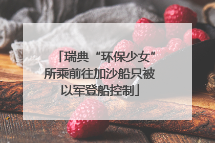 瑞典“环保少女”所乘前往加沙船只被以军登船控制
