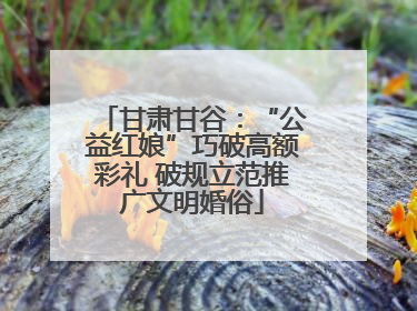 甘肃甘谷：“公益红娘”巧破高额彩礼 破规立范推广文明婚俗