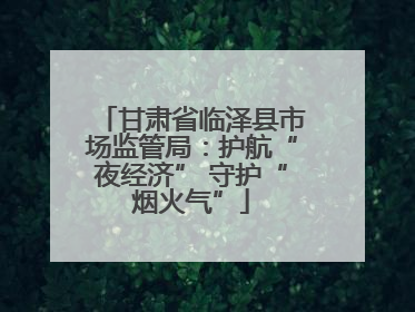 甘肃省临泽县市场监管局：护航“夜经济” 守护“烟火气”