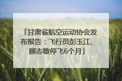 甘肃省航空运动协会发布报告：飞行员彭玉江、顾志敏停飞6个月