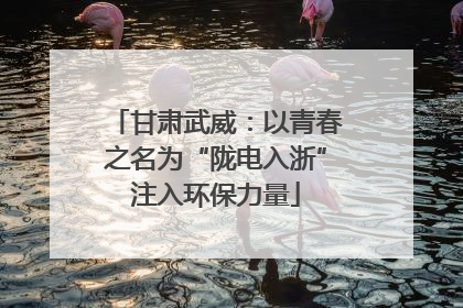 甘肃武威：以青春之名为“陇电入浙”注入环保力量