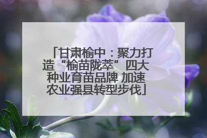 甘肃榆中：聚力打造“榆苗陇萃”四大种业育苗品牌 加速农业强县转型步伐