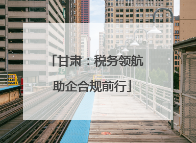 甘肃：税务领航 助企合规前行