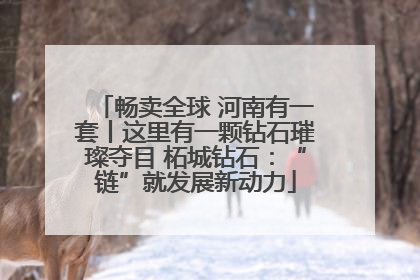 畅卖全球 河南有一套丨这里有一颗钻石璀璨夺目 柘城钻石：“链”就发展新动力