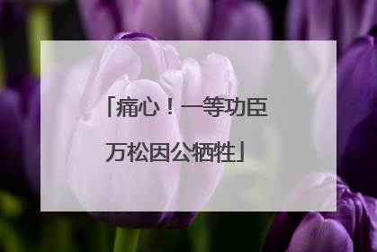 痛心！一等功臣万松因公牺牲