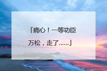 痛心！一等功臣万松，走了……