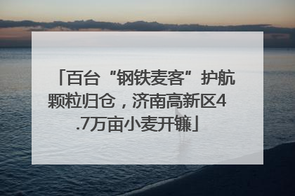 百台“钢铁麦客”护航颗粒归仓，济南高新区4.7万亩小麦开镰