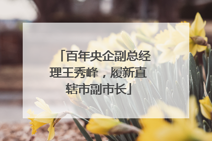 百年央企副总经理王秀峰，履新直辖市副市长