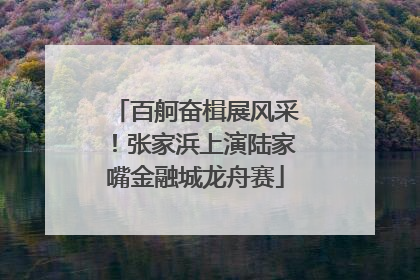 百舸奋楫展风采！张家浜上演陆家嘴金融城龙舟赛