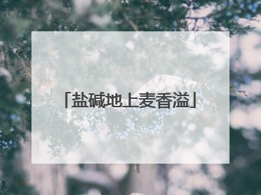 盐碱地上麦香溢
