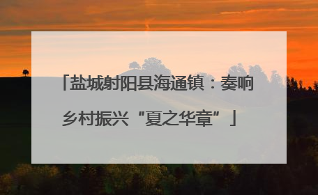 盐城射阳县海通镇：奏响乡村振兴“夏之华章”