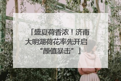 盛夏荷香浓！济南大明湖荷花率先开启“颜值暴击”