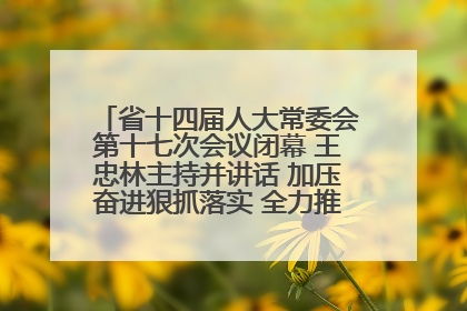 省十四届人大常委会第十七次会议闭幕 王忠林主持并讲话 加压奋进狠抓落实 全力推动支点建设成势见效