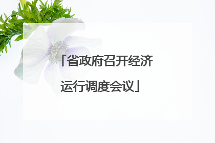 省政府召开经济运行调度会议