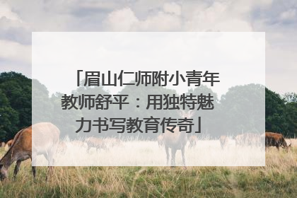 眉山仁师附小青年教师舒平：用独特魅力书写教育传奇