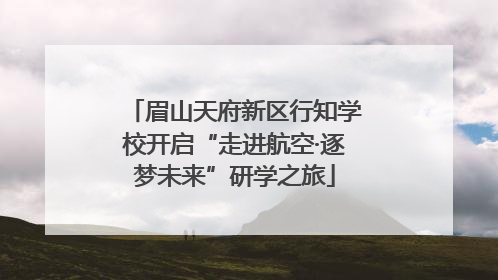 眉山天府新区行知学校开启“走进航空·逐梦未来”研学之旅