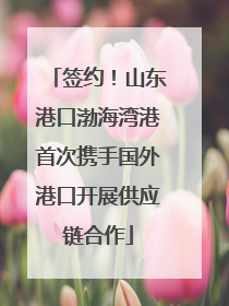 签约！山东港口渤海湾港首次携手国外港口开展供应链合作